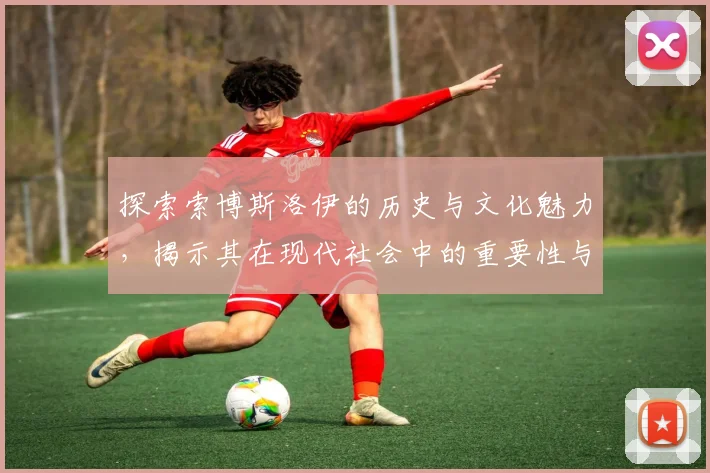 探索索博斯洛伊的历史与文化魅力，揭示其在现代社会中的重要性与影响力