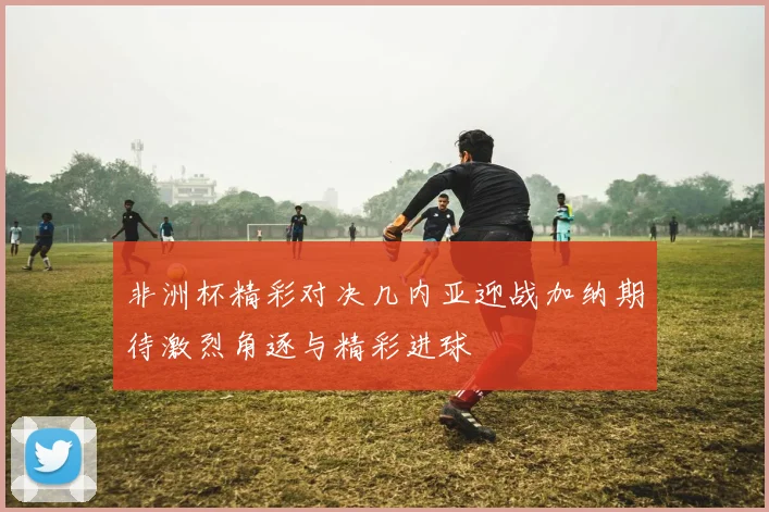 非洲杯精彩对决几内亚迎战加纳期待激烈角逐与精彩进球